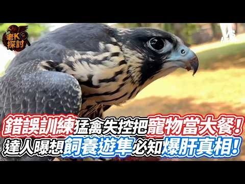 Improper training leads to raptors going out of control and turning their pets into a meal! Exper...
