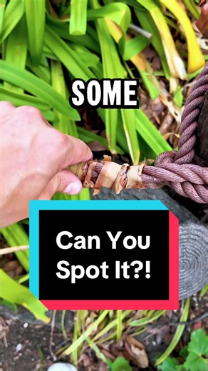 Can you figure out where the cache is hidden before me? Make sure to follow and like this video to bring you back for PART 2, where I find the Geocache with the cache owner, Nokos from Japan! 👀 #Geocaching #Japan #Nagoya #DNF #Travel