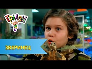 Ералаш Зверинец (Выпуск №265)