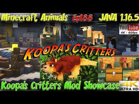 Koopa's Critters Mod Showcase and Download JAVA 1.16.5 1.12.2 Minecraft Animals Ep188