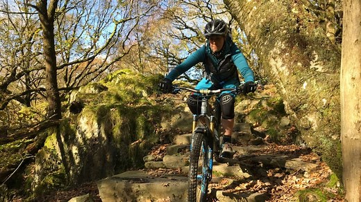 Trail Leader Award (Level 2)