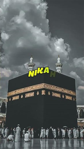 |Islamic Shorts| Wisdom in Moments| #QuranicReflections#IslamicChannel