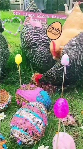 Happy Easter! 🌸🌷🐔🥰