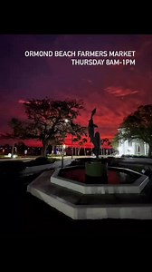 1.4K views · 12 shares | Tomorrow :Ormond Beach Farmers Market Who:...