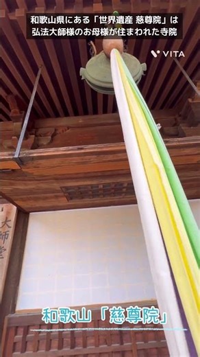 16秒動画#和歌山慈尊院🌸梅の花今年3月撮影#母の愛👩🏻‍🍼#弘法大師様の母が香川善通寺から訪ね当時高野山は女人禁制の為ここで暮らし弘法大師様が月9回慈尊院に会いに来られました#空海#世界遺産