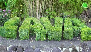 4.3K views · 84 reactions | Cámping Ecológico Lava, situado en el...