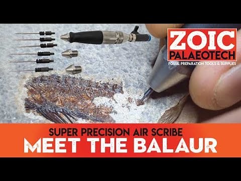 ZPT-BL The Balaur. The finest Fossil Prep Air Scribe EVER made! | ZOIC PalaeoTech