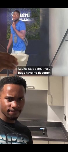 #jonaduets with @Teddybankz I guess it’s roach season 🪳👀