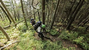 Surviving the Fundy Footpath