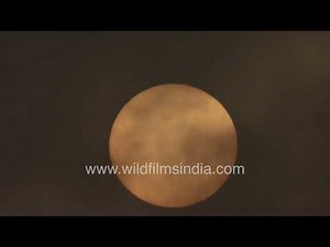 Full moon time-lapse: mist drifting across the night sky