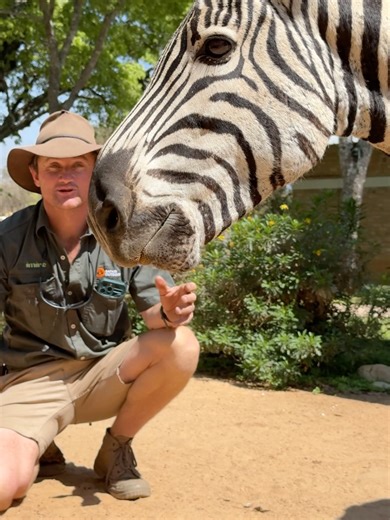 398 reactions · 13 shares | Reilly Travers on Reels | Facebook