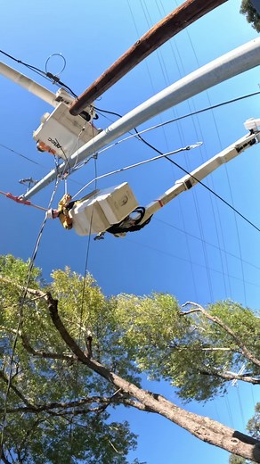 Mastering Power Lines: A Lineman's Guide to Service Work