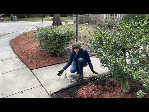 DIY no-dig landscape edging installation Vigoro