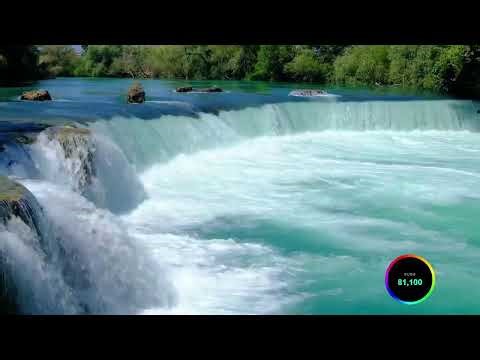 🔴LIVE🔴 Playing Blooket LIVE with Viewers! Join Now! 🎮LIVE Quiz Battle in Quiz! 🏅 Join & Play!