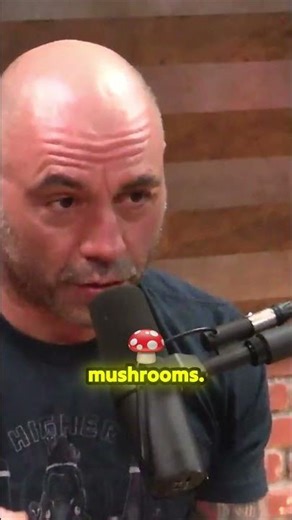 The Secret Life of Honey Mushrooms: Forest Killers or Creators?