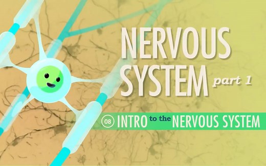 Neurobiology Crash Course 英文字幕版