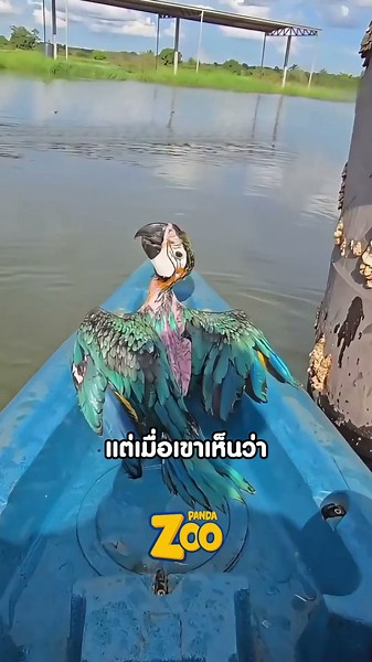 This bird... fell out of its home!