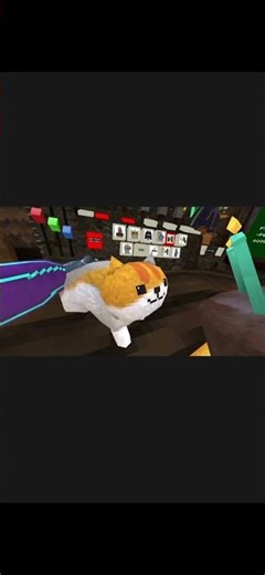 Kitty you can have cheeseburger