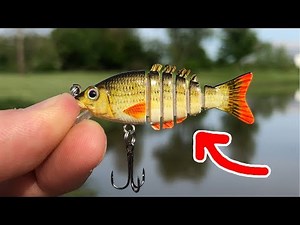 MICRO Jointed Swimbait!!! - SMALLEST in the WORLD! (Surprising Results)