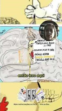 Nervo Facial