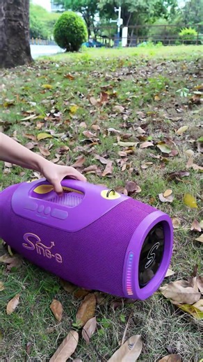 Is this budget speaker actually good? #speaker #testing