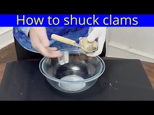 How to shuck clams