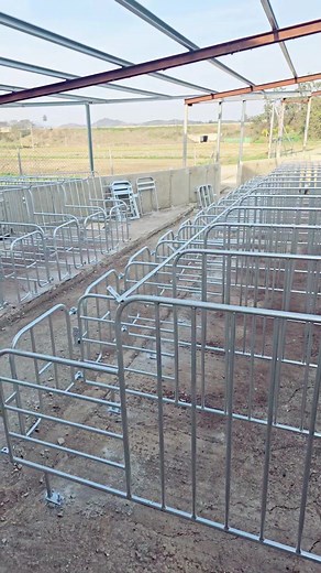 #creatorsearchinsights #farming #pigfarm #southkorea