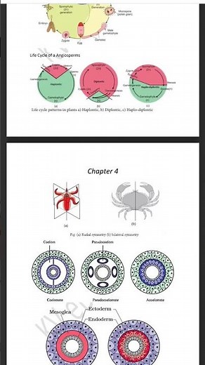 Biology|All Ncert diagrams In one Pdf|l #ncert #neet #biology|Neet