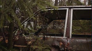 Rusty old car in the forest a cold autumn day