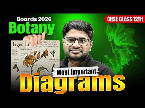 Botany MOST IMPORTANT DIAGRAMS for CHSE Class 12 🔥 | +2 2nd Year Board Exam 2026