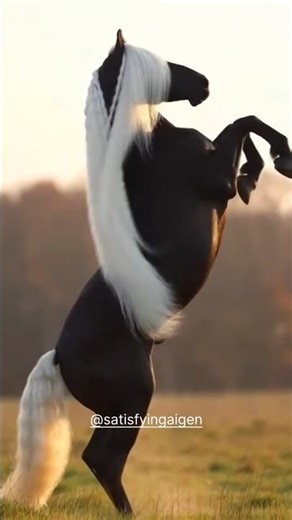 You Won’t Believe This Horse Is AI ?!!! 😯🐴🤯