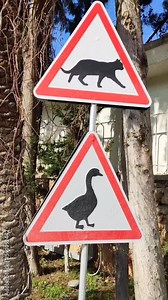 Road sign "beware of animals", with the image of a duck and a cat, in a city park against a background of green trees