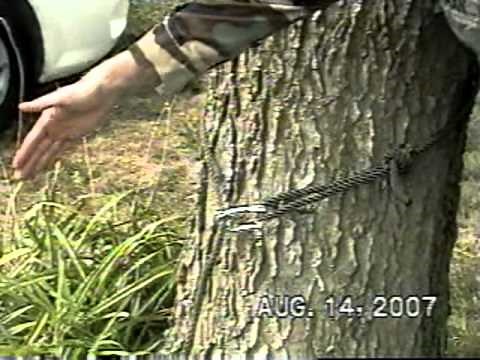 How to set up a one rope bridge