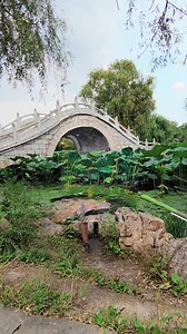 48K views · 801 reactions | Capturing the bridge on paper He drew the bridge on paper, so lifelike that it seemed as if he was using his pen to tear the paper bit by bit! #art #painting (cr: douyin tcmss1.0) | T-Time HK | Facebook