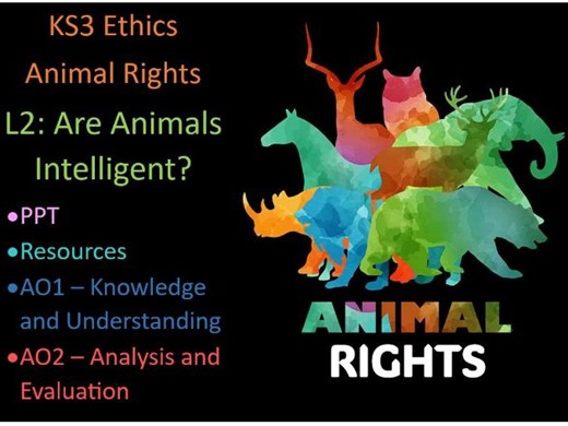 KS3 Animal Rights: Are Animal Intelligent? Full Lesson | Teaching Resources