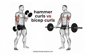 Hammer Curls vs Bicep Curls: How To Build Biceps Width & Peak