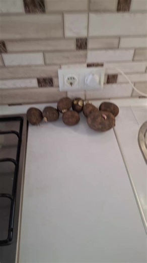 Сьодня на ппшці Спробувала заварну пюрешку, з блюда яке вийшло 😱ВИ АФІГЄЄТЕ😱 #potato #mashallah #yogurt #е #пюре