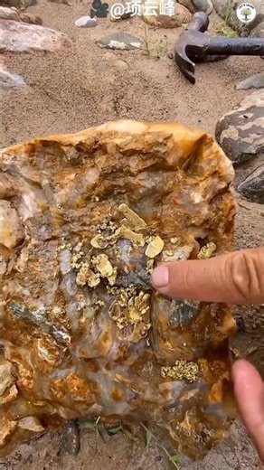 Anias Metamorphic Rocks #shortsfeed