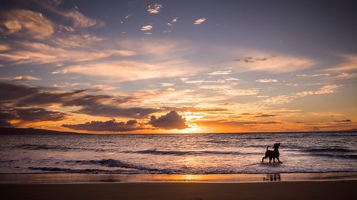 These 20 Beaches Have the Best Sunsets, According to TripAdvisor