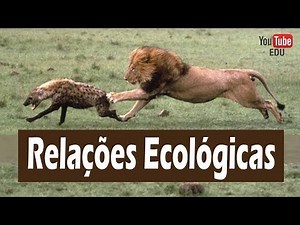Relações Ecológicas entre os seres vivos