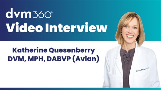 Referring patients to an exotic pet specialist | dvm360