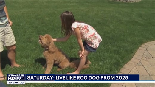 5.1K views · 235 reactions | Thank you WFLD for having our Founder on to preview prom and chat about the story of Roo and the Foundation ❤️ Fox Chicago News - WFLD | Live Like Roo Foundation | Facebook