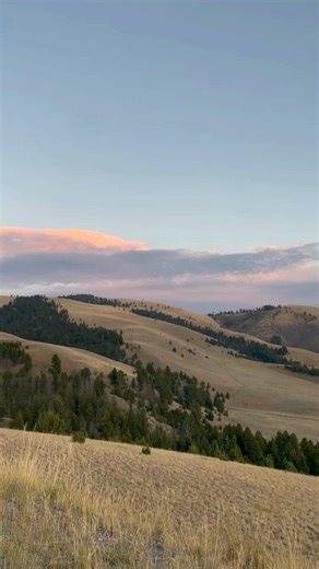 The Ranch At Rock Creek | April 6th is a day to honor Montana’s one and only area code 406, and everything that makes this state special. From its vast landscapes... | Instagram