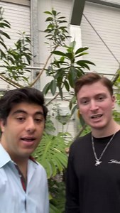 Did you know SUNY ESF has a rooftop greenhouse? 🤯 Biotechnology majors William and Izzy are here to give you a quick tour of this unique hub for #SUNYResearch. See more spaces like this: https://www.suny.edu/attend/visit-us/campus-visit/ | SUNY - The State University of New York