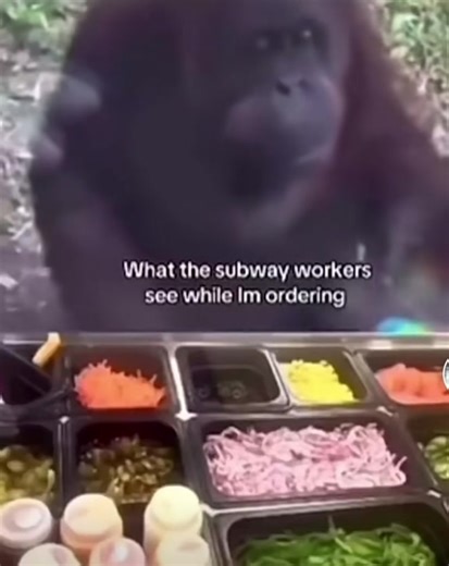 Please follow me #onthisday #subway #viral #fyp #funny | Subway