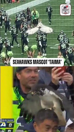 Seattle Seahwaks mascot 'TAIMA THE HAWK' Got Stuck! #nfl