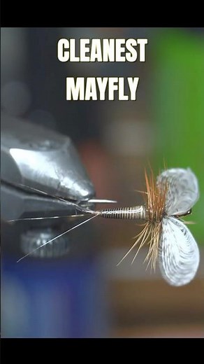 Clean Mayfly Pattern with Wally Wings (Full Tutorial on Channel)