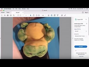 Use Python to save rotation permanently in PDF file