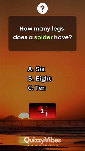 🔥 Can You Ace These Fun General Knowledge Quiz Questions #generalknowledge #quiz | Quizzy Vibes