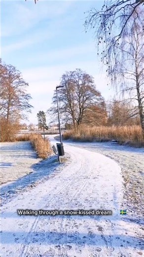 Walking through a snow-kissed dream ❄️🇸🇪